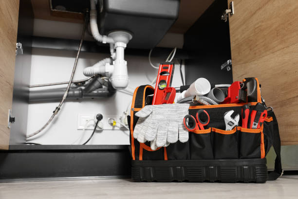 Best Clogged Drain Plumber  in Rogersville, MO